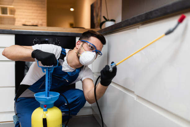  Oxnard, CA Pest Control Pros