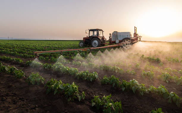 Best Commercial Pest Control Services  in Oxnard, CA
