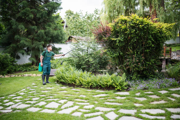 Best Wasp Removal Services  in Oxnard, CA