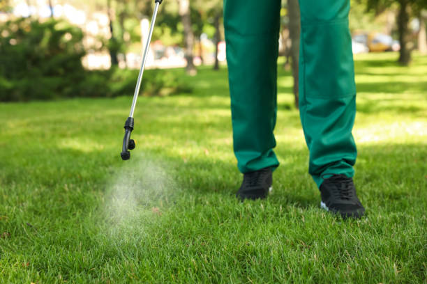 Best Residential Pest Control  in Oxnard, CA