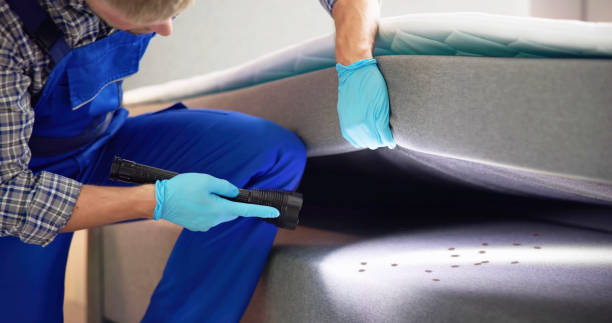 Best Pest Removal Services  in Oxnard, CA