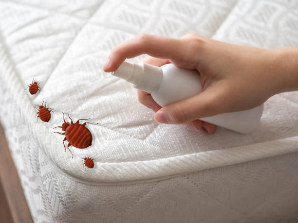 Best Pest Control Near Me  in Oxnard, CA