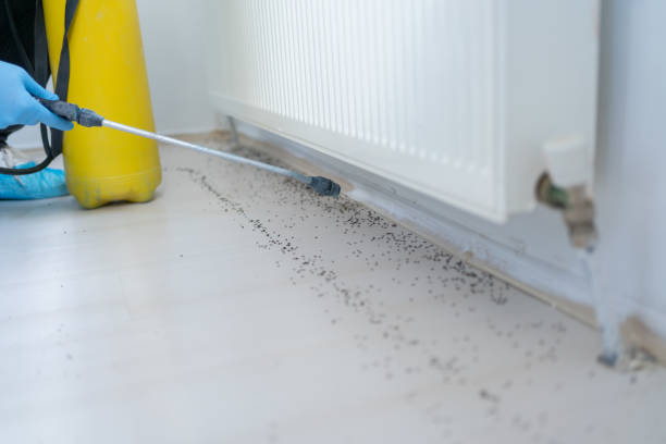 Best Bed Bug Extermination  in Oxnard, CA