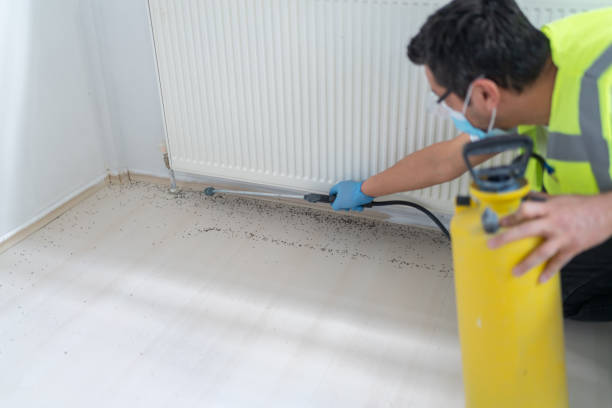 Best Affordable Pest Control Services  in Oxnard, CA
